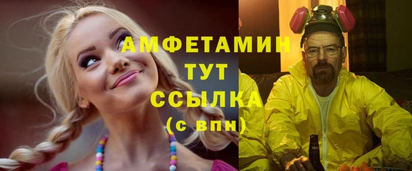 стафф Карпинск