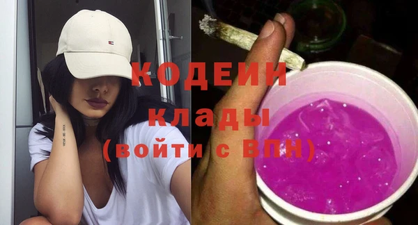 скорость Каменка