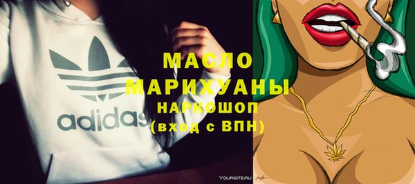 скорость Каменка