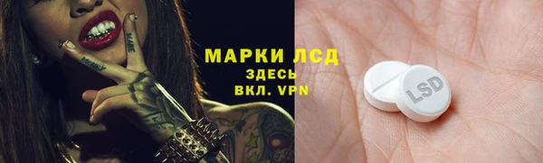 стафф Карпинск