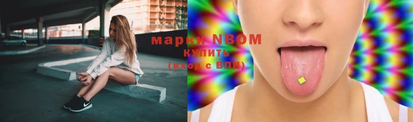 скорость Каменка