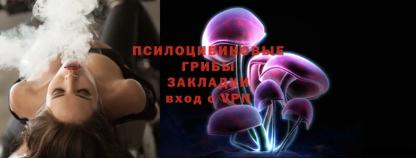 прущая мука Каменногорск