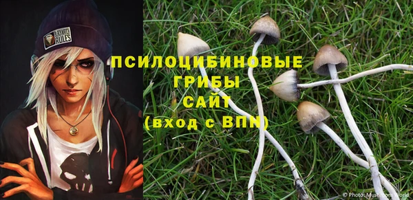 скорость Каменка