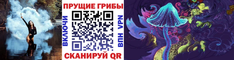 Купить где  Богучар  Галлюциногенные грибы мицелий 
